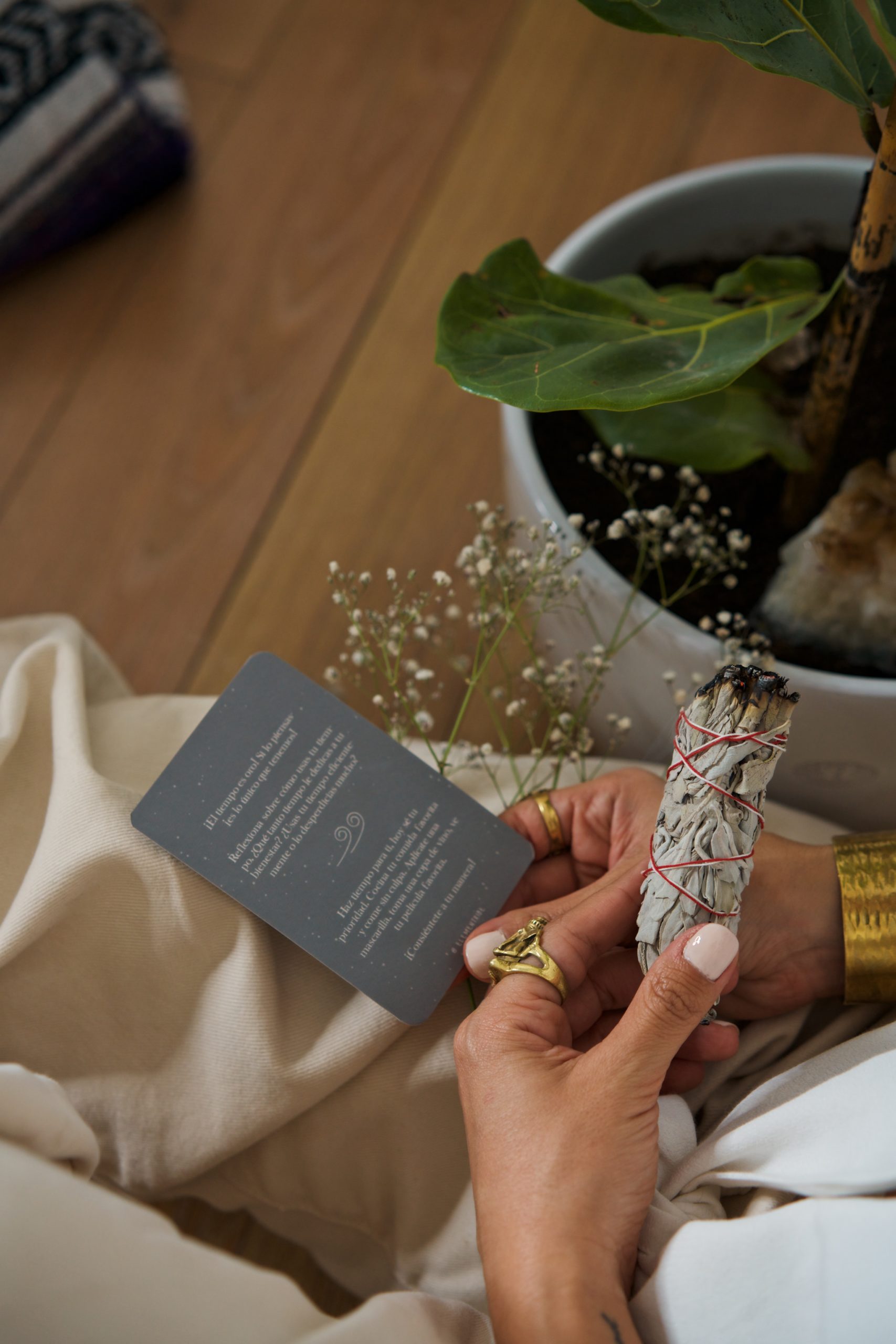 Oráculo de Cartas Elementribe - Imagen 12