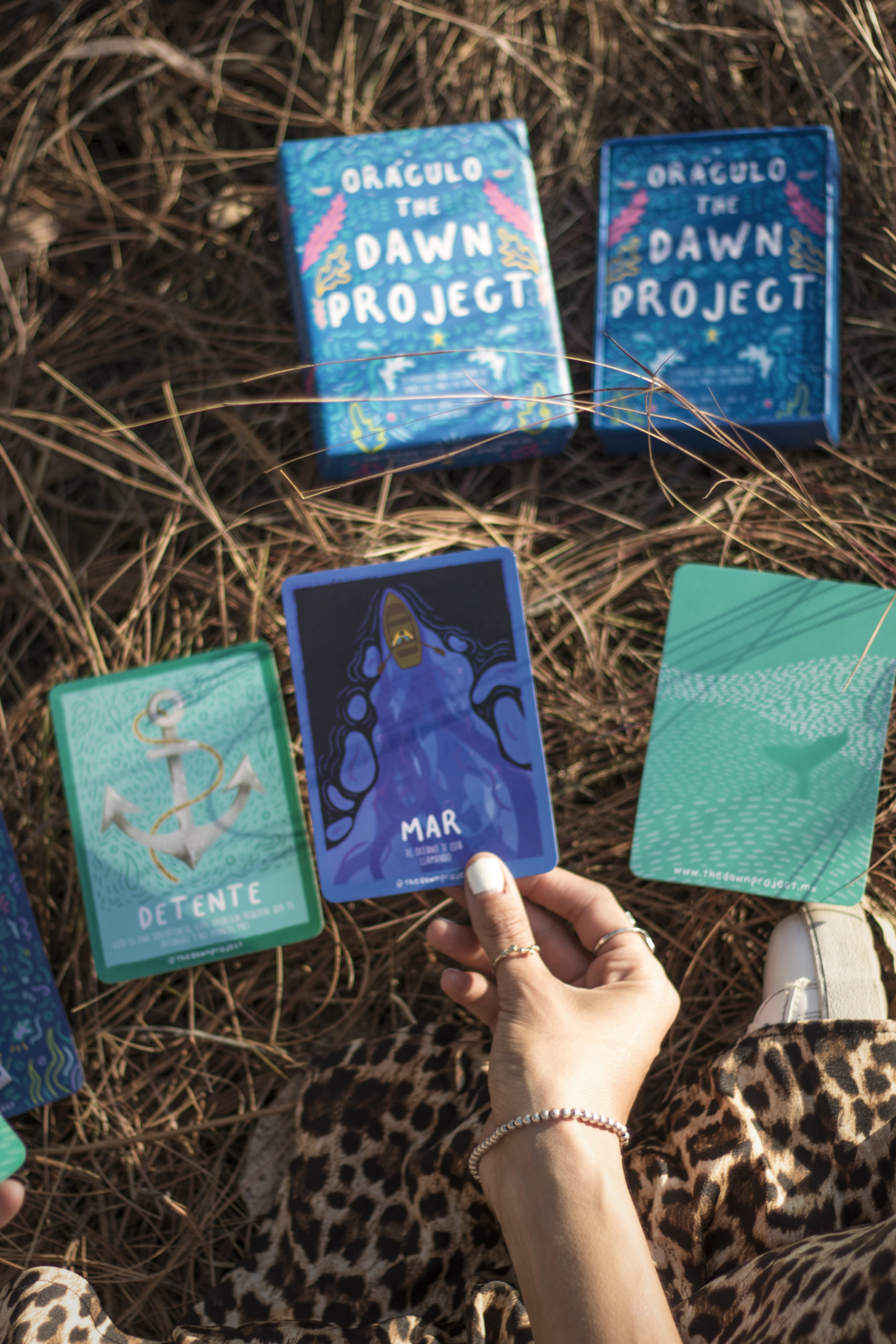 Oráculo The Dawn Project - Imagen 7