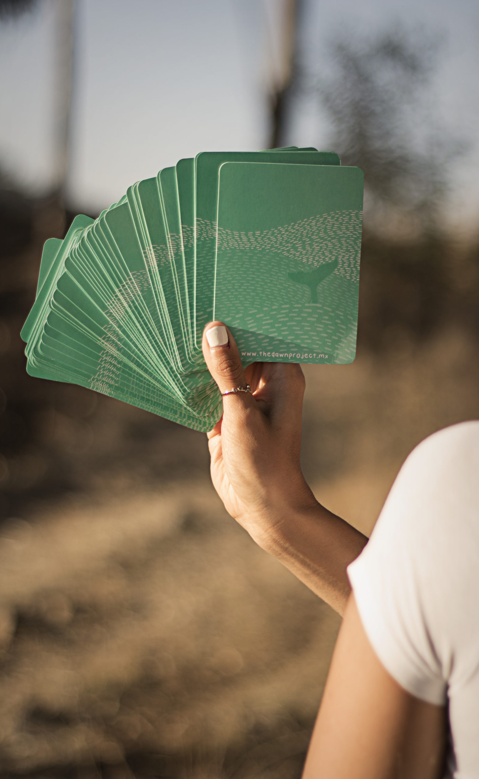 Oráculo The Dawn Project - Imagen 5