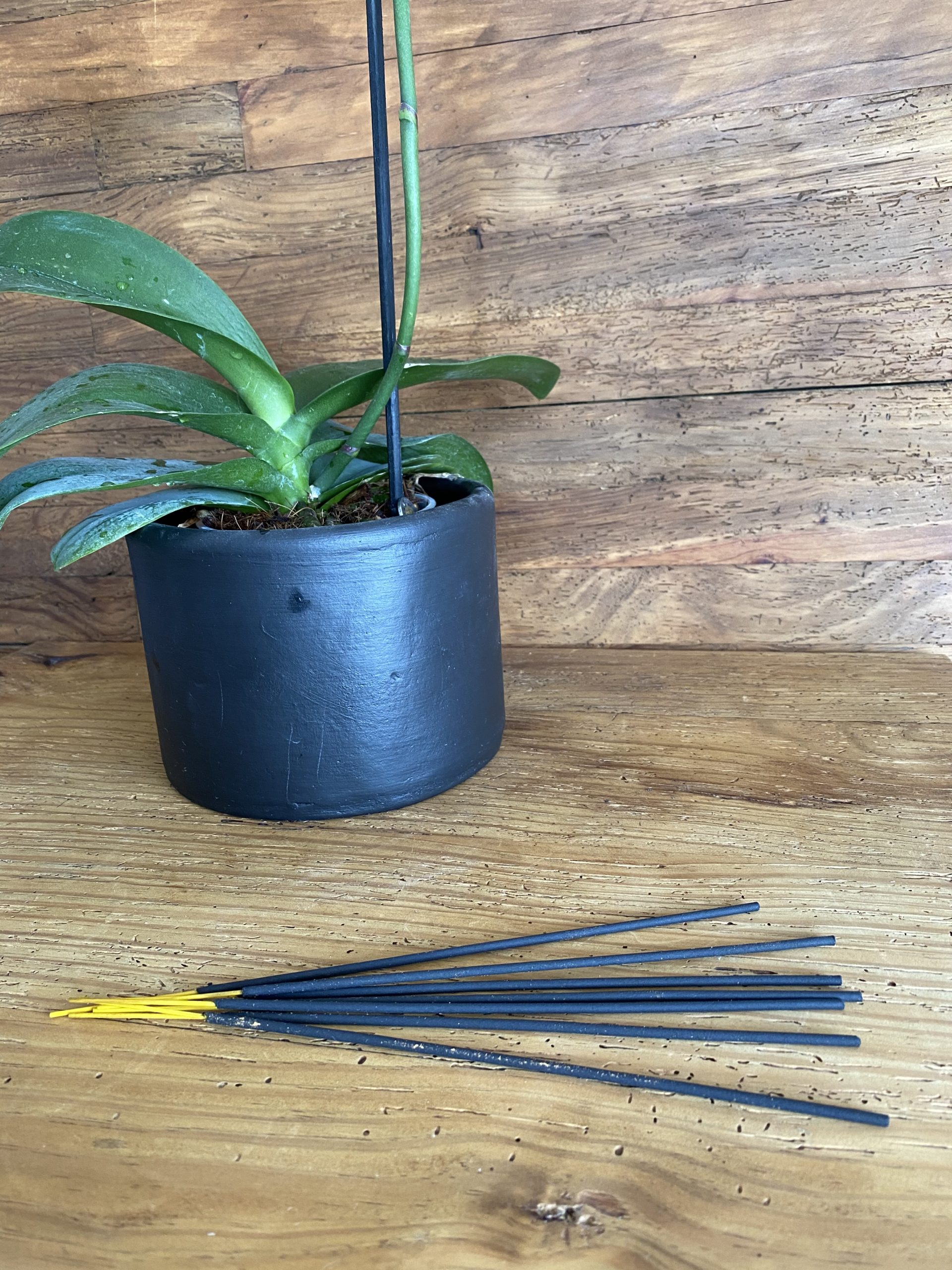 Inciensos Intencionados - Imagen 3