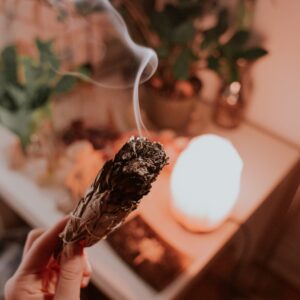 Manual Limpieza Holística (PDF)